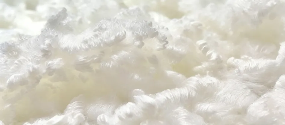 Poliéster é uma fibra sintética? (2)