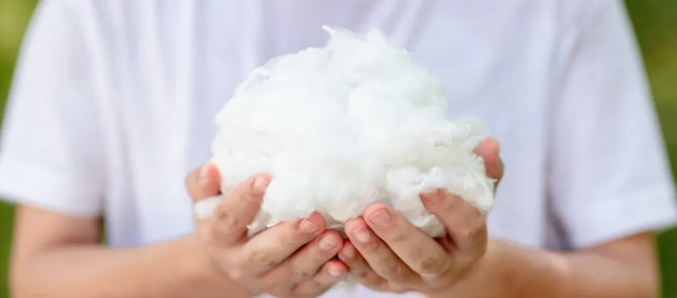 O que é a fibra de fibra de poliéster Fine Denier?