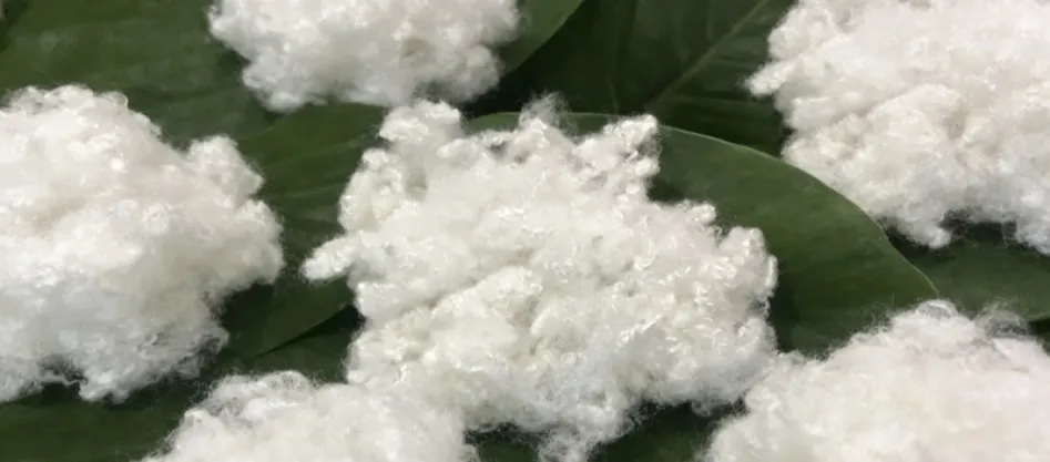 Poliéster é uma fibra sintética? Algo que você precisa saber