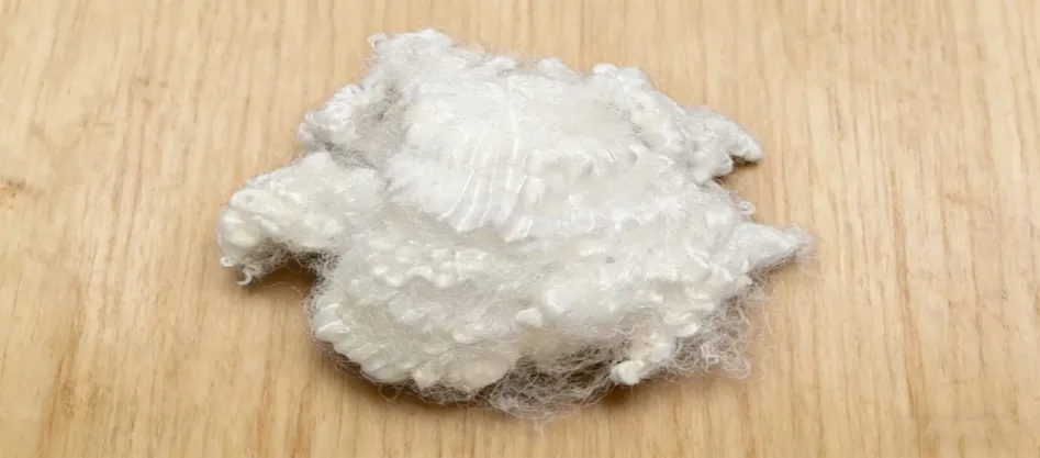 O que é Fibra Conjugada Virgem?